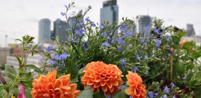 Inspiracje balkonów