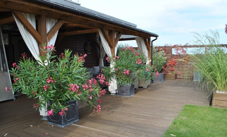 Wietrzny taras, zadaszona weranda całoroczna w Wilanowie w bloku. Piekne oleandry w donicach