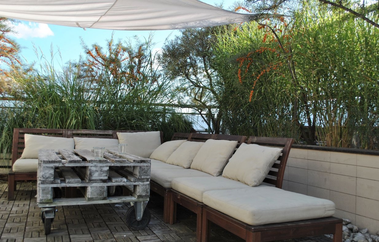 taras w nadmorskim klimacie