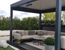 duże drzewa w donicach na tarasie