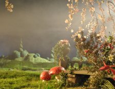 bajkowy świat z roślin