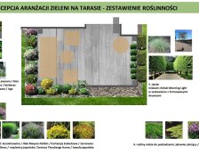 projektowanie tarasow