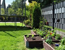 warzywniak w ogrodzie