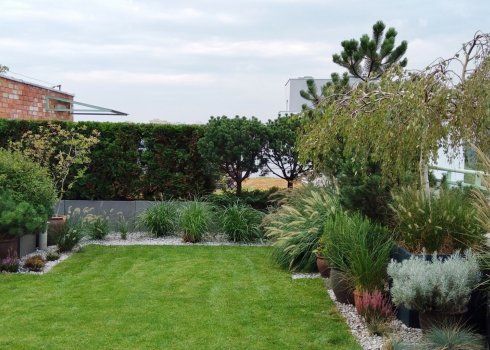 ogród geometryczny na dachu