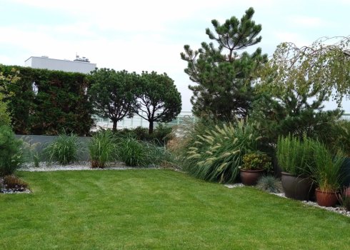 ogród geometryczny na dachu