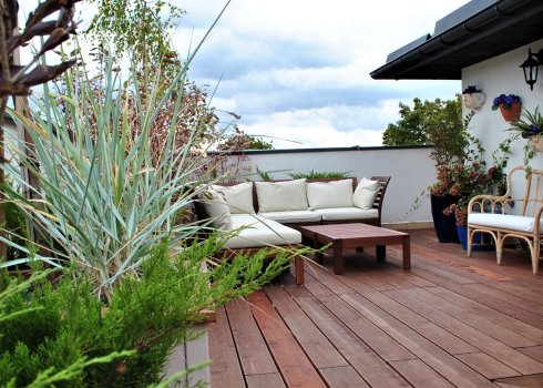 taras niebiesko - zielony