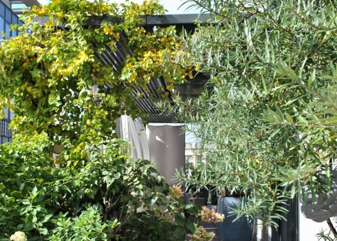 taras jako miejska oaza