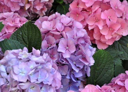 taras ubrany w kolor