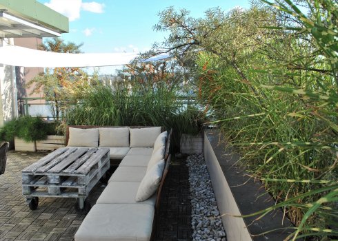 taras w nadmorskich klimatach