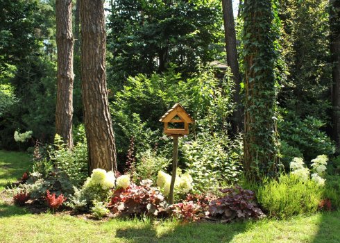 ogród leśny w Magdalence