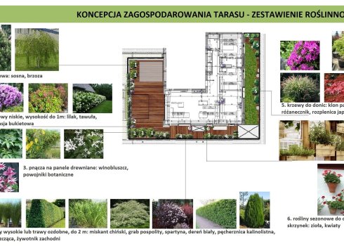 koncepcja aranżacji tarasu z altaną