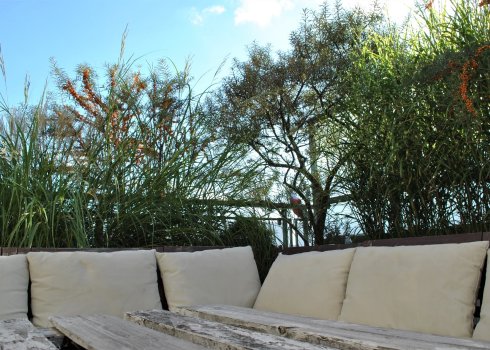 taras w nadmorskich klimatach