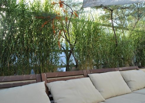 taras w nadmorskich klimatach