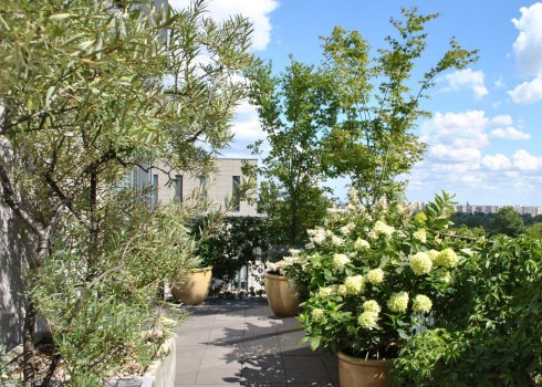 taras jako miejska oaza