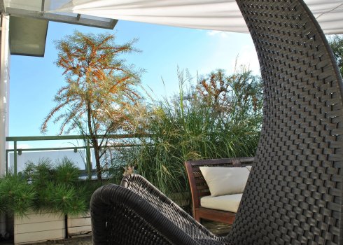 taras w nadmorskich klimatach