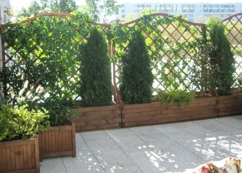 taras na dachu garażu