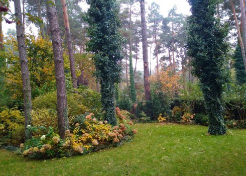 ogród leśny w Magdalence