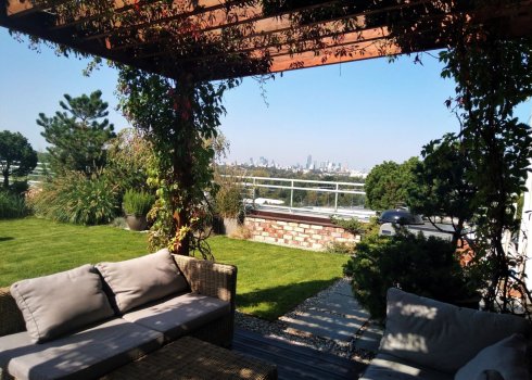 ogród geometryczny na dachu