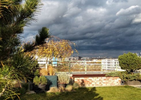 ogród geometryczny na dachu