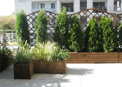 taras na dachu garażu