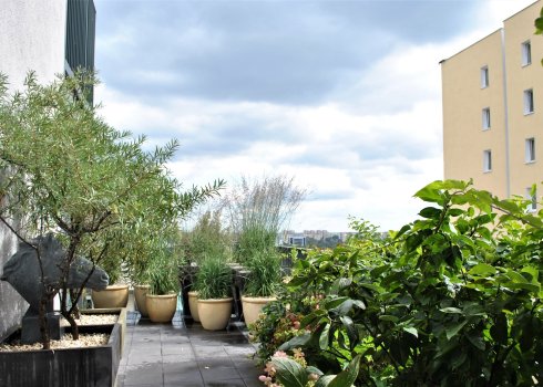 taras jako miejska oaza