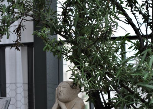 taras jako miejska oaza