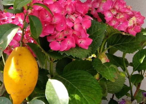 balkon nowoczesny z jakuzzi