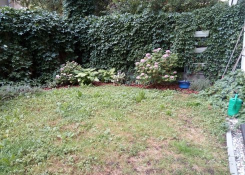 koncepcja ogrodu zacienionego