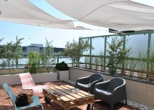 taras w nadmorskich klimatach