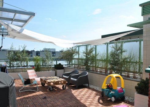 taras w nadmorskich klimatach