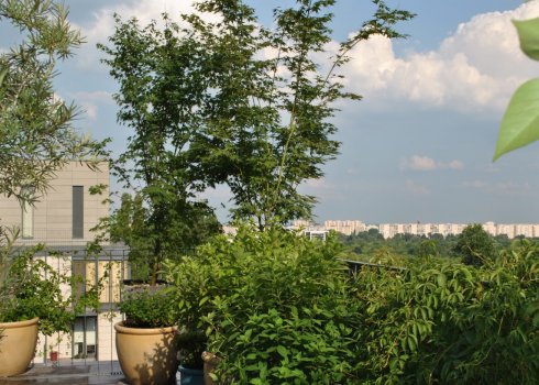 taras jako miejska oaza