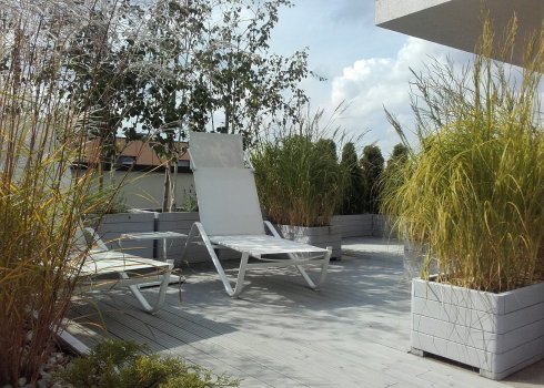 taras w cieniu brzóz