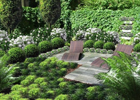 koncepcja ogrodu zacienionego