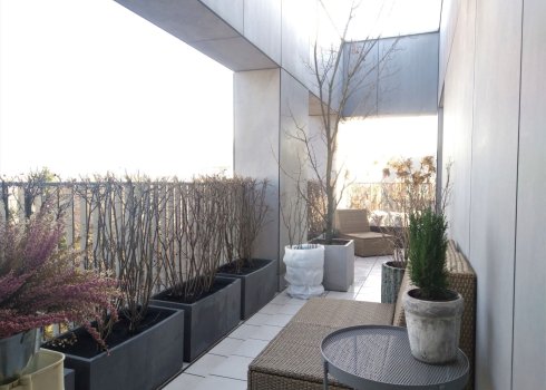 balkon z dużym drzewem