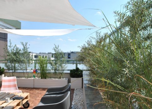 taras w nadmorskich klimatach