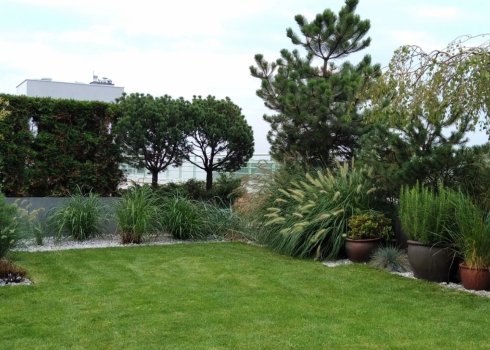 ogród geometryczny na dachu