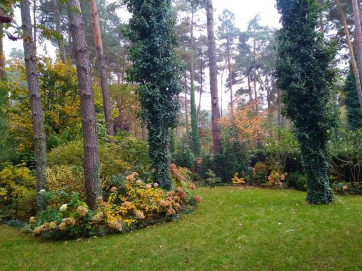 ogród leśny w Magdalence