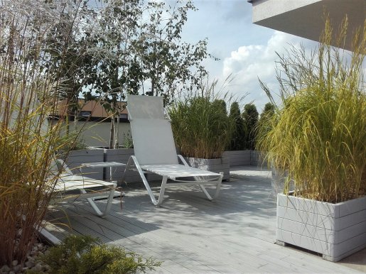 taras w cieniu brzóz