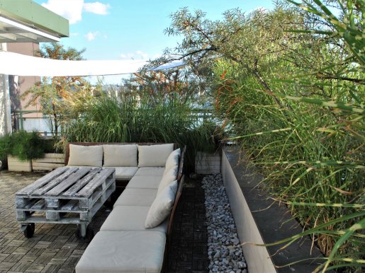 taras w nadmorskich klimatach