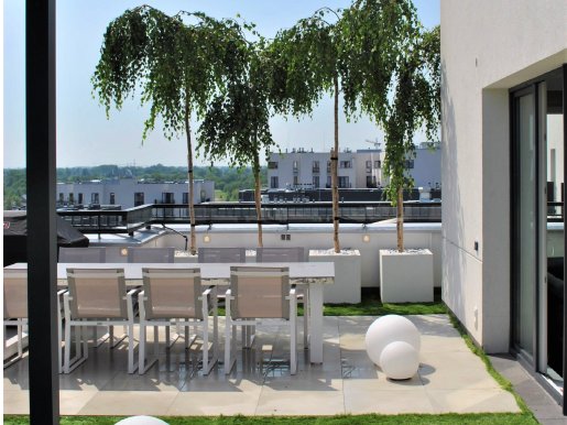 przestronny taras nowoczesny na dachu