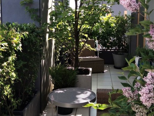 balkon z dużym drzewem