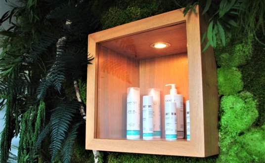 Rośliny we wnętrzach